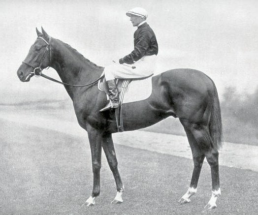 Hyperion the racehorse